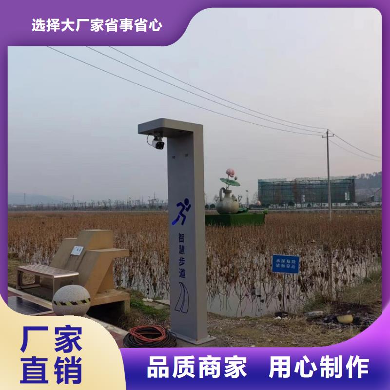 智能体育公园厂家（维艾狄尔）同城经销商