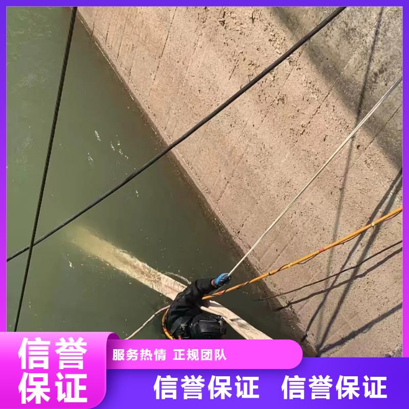 武汉水下机器人
声呐
打捞专业公司