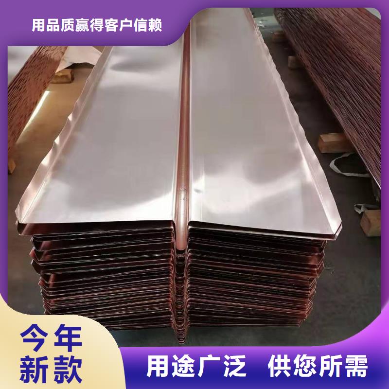 WVU型止水铜片实体厂家本地厂家