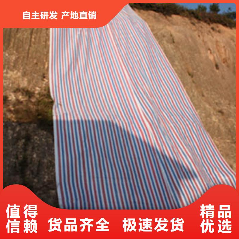 本地的三色彩条布厂家大库存无缺货危机
