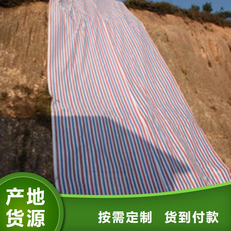 新料彩条布报价-厂家品质有保障