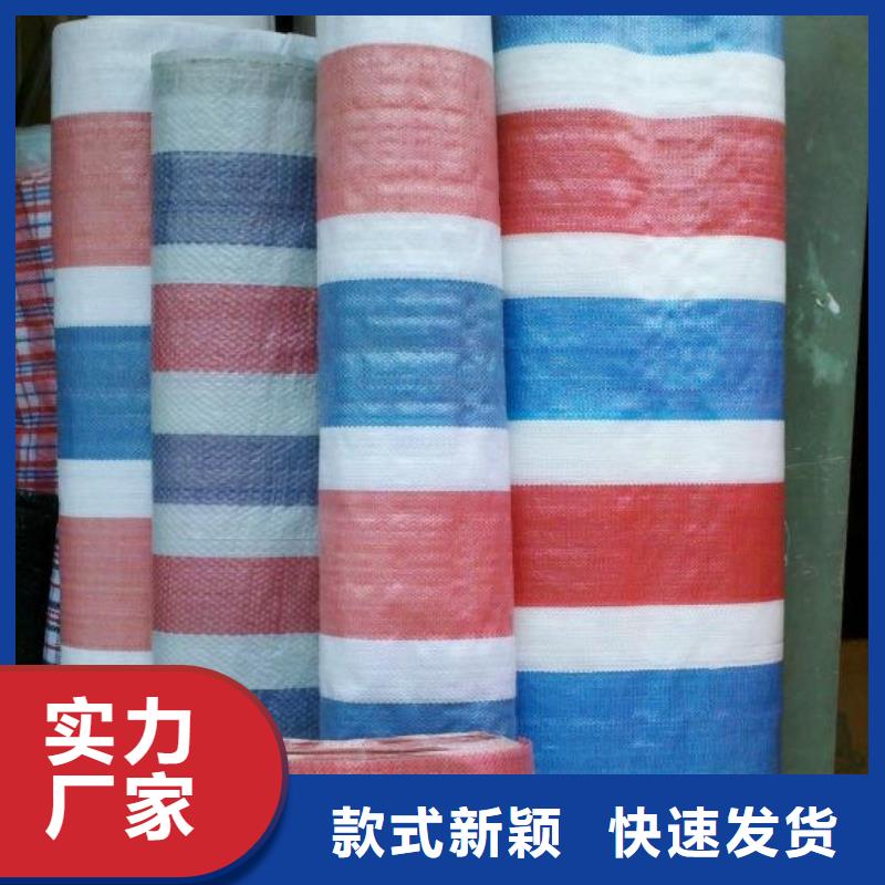 塑料雨布彩条布随时发货快质检合格发货