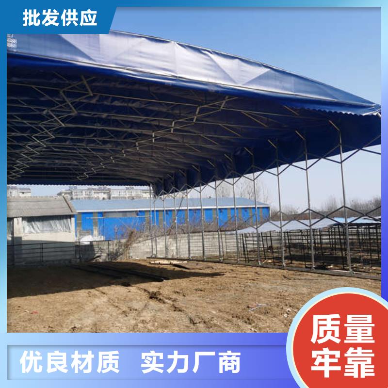 移动帐篷生产厂家价格合理