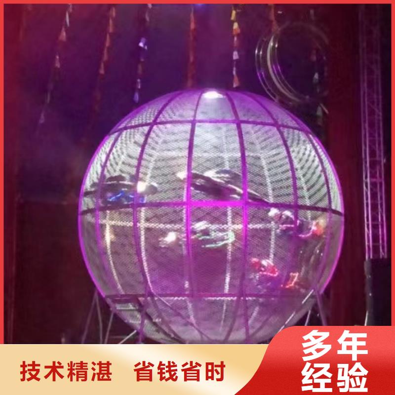 海洋生物展出租暖场气氛良好口碑