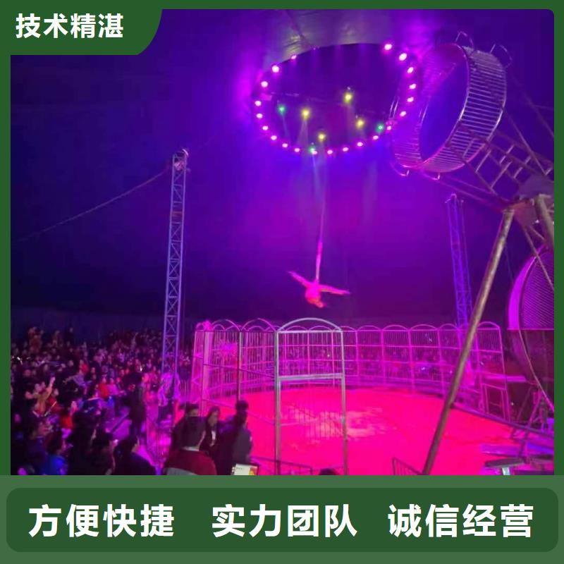 企鹅租赁活动庆典品质保证