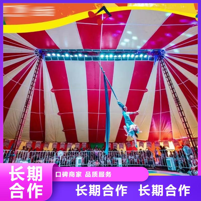 羊驼萌宠出租房地产活动效果满意为止