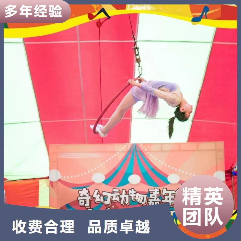 羊驼租赁公司当地厂家