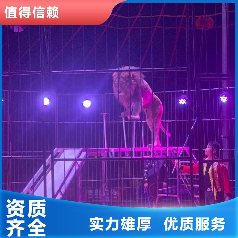 动物表演租赁品种多明码标价