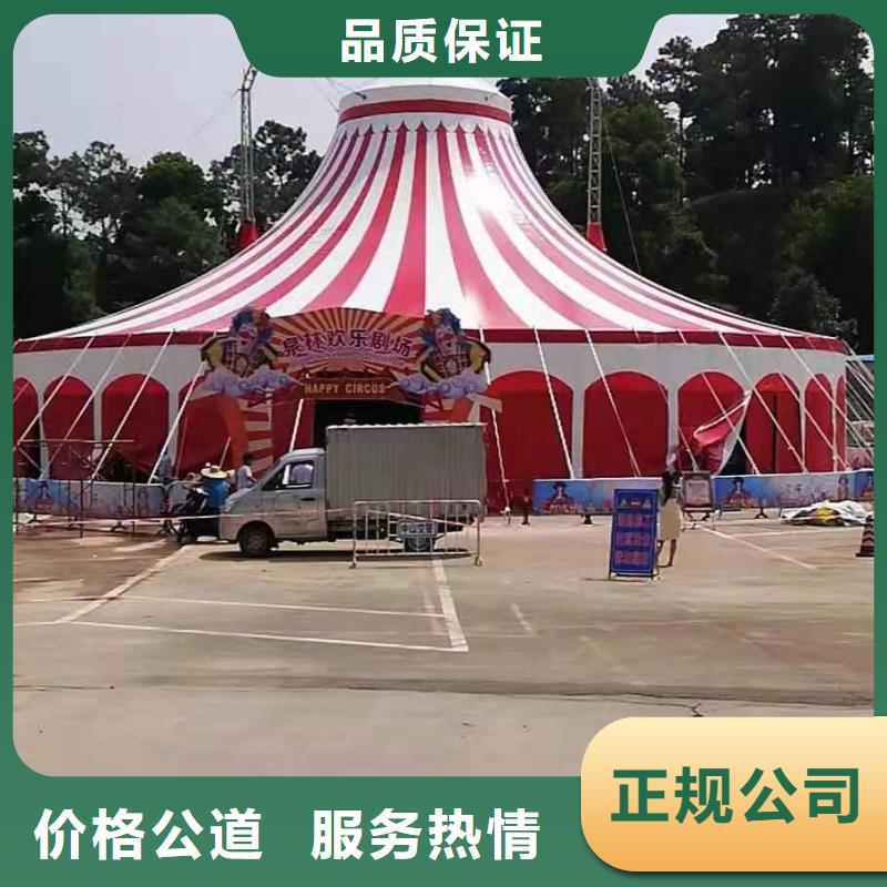羊驼出租货源充足靠谱商家