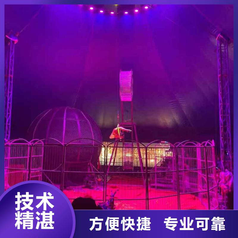 动物出租查看图片正规公司