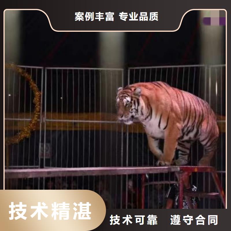 动物租赁活动案例讲究信誉
