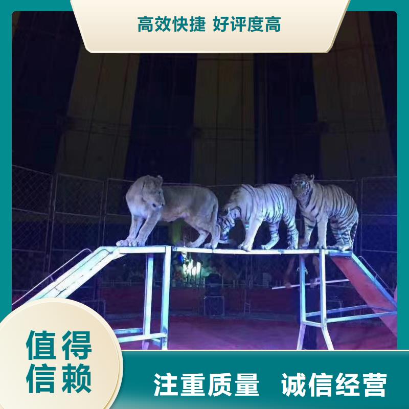动物表演租赁资源丰富2024公司