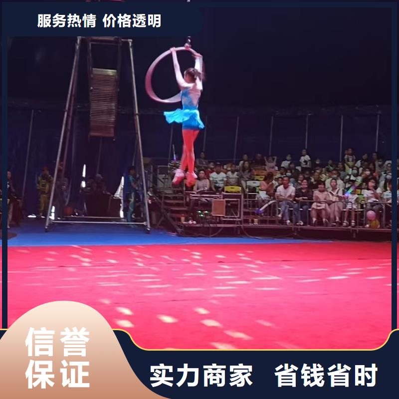 附近羊驼出租公司公司电话当地货源
