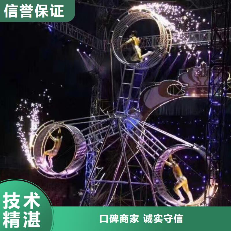周边羊驼租赁公司服务周到