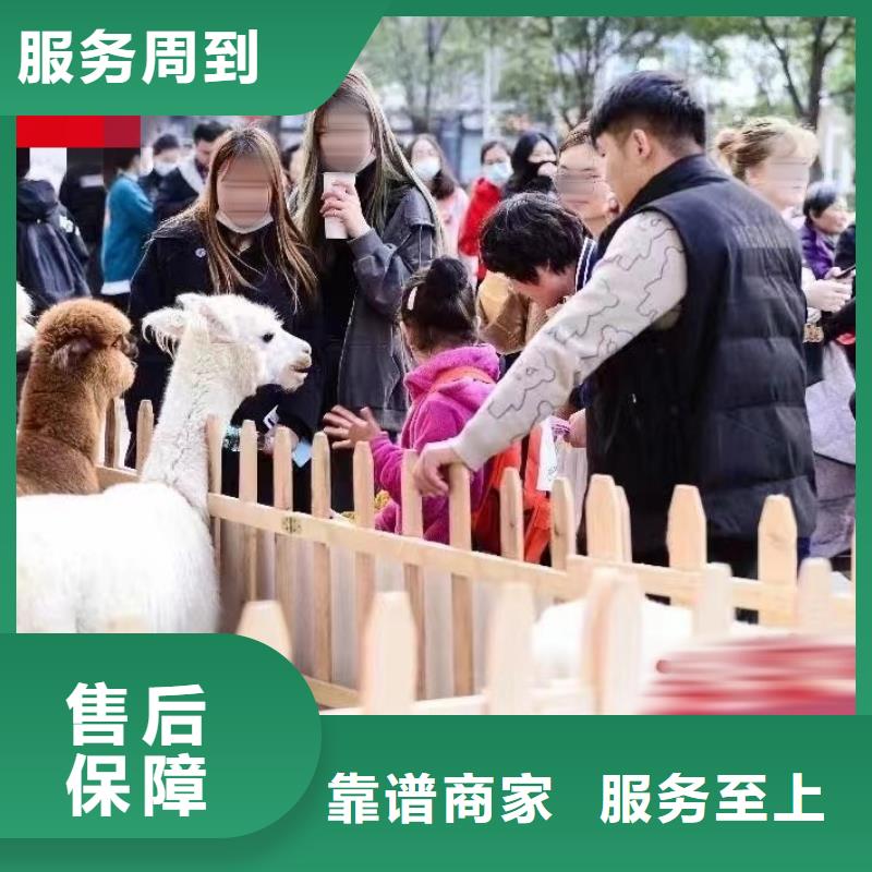 萌宠展出租本地公司