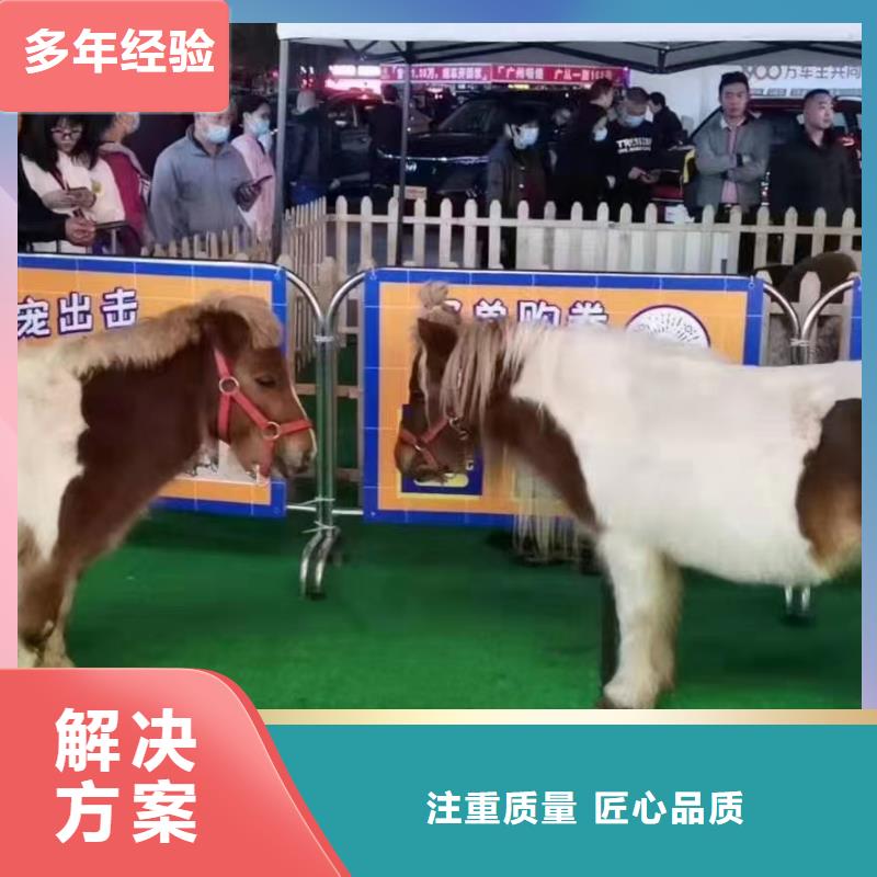 哪里有出租动物的点击查看专业品质