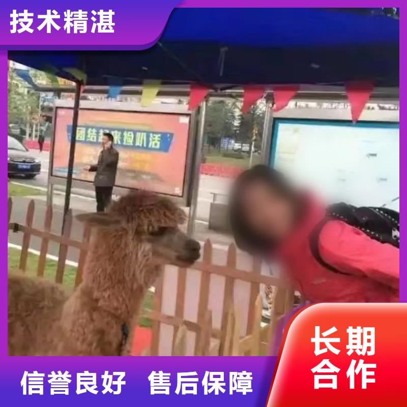 萌宠动物展省钱省时