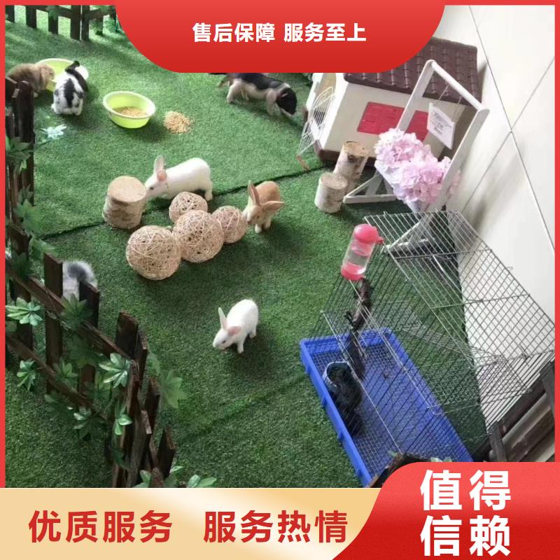 马戏团出租暖场活动实力雄厚