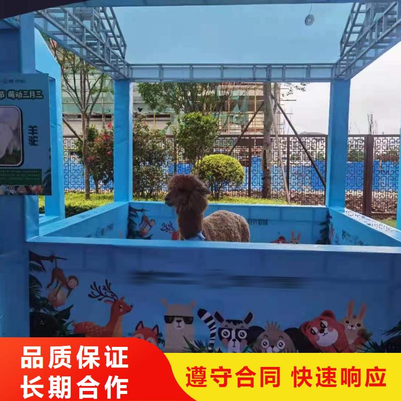 动物出租暖场气氛同城服务商