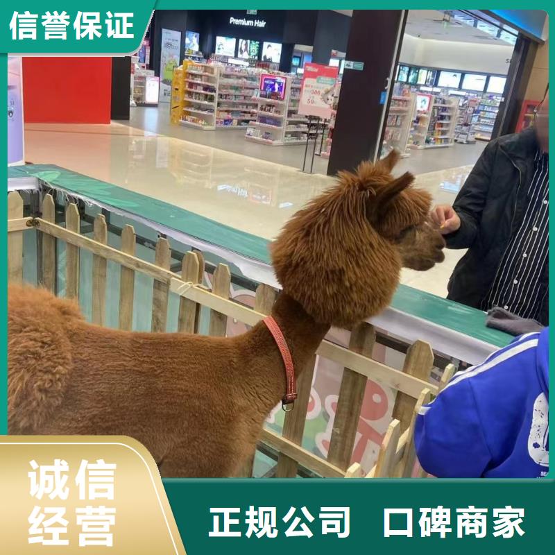 出租马戏团表演公司附近同城货源