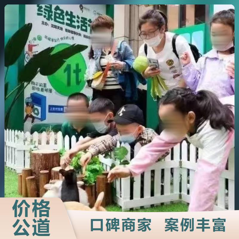 羊驼租赁公司货源充足服务周到