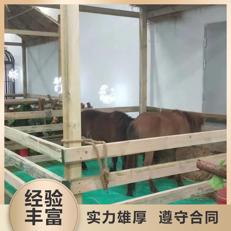百鸟展租赁诚信厂家靠谱商家