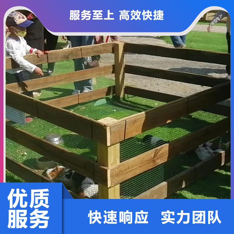 马戏团羊驼表演出租厂家信誉好本地服务商