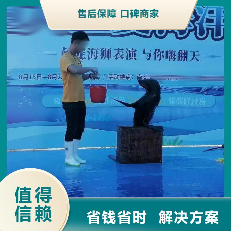 出租美人鱼表演活跃气氛本地公司