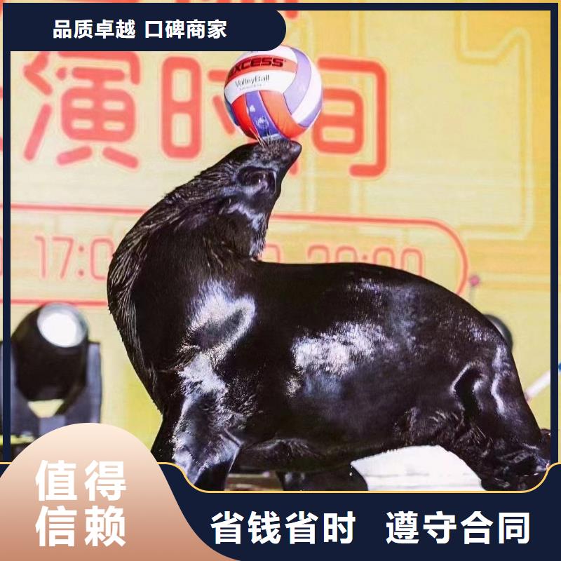 海洋生物展租赁公司活跃气氛同城厂家