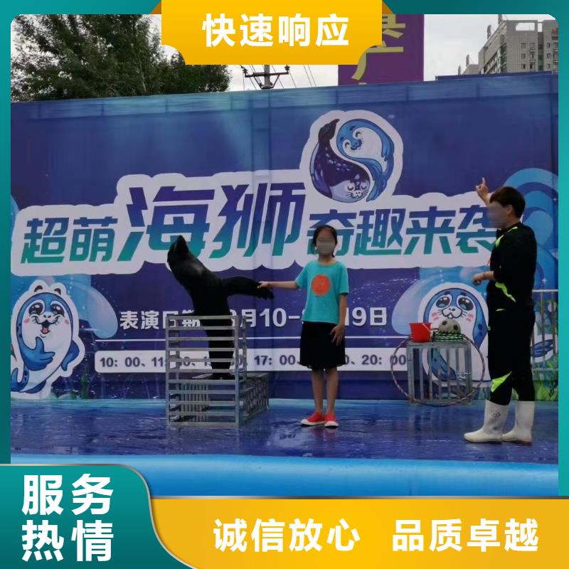 海洋生物展出租全国承接靠谱商家