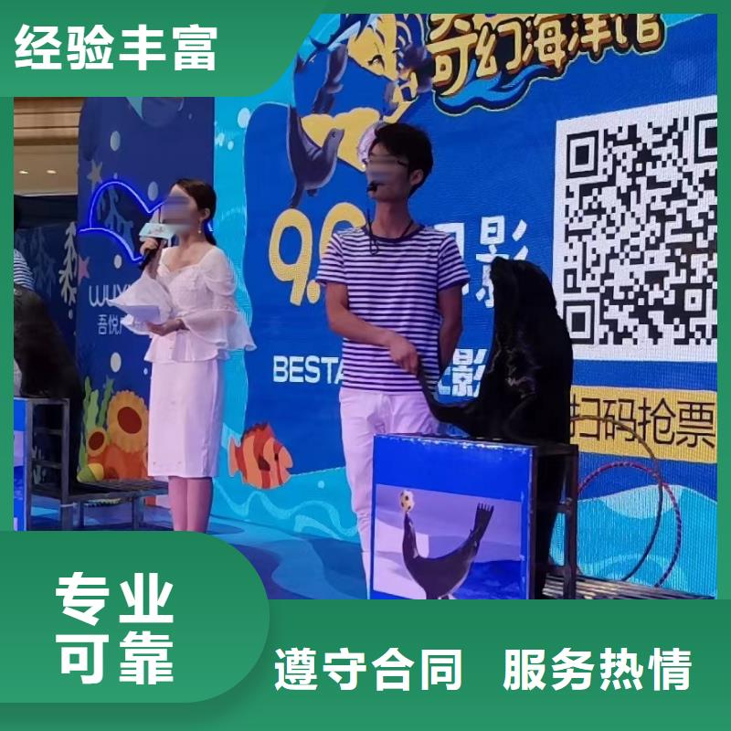 哪有出租海洋展的快速