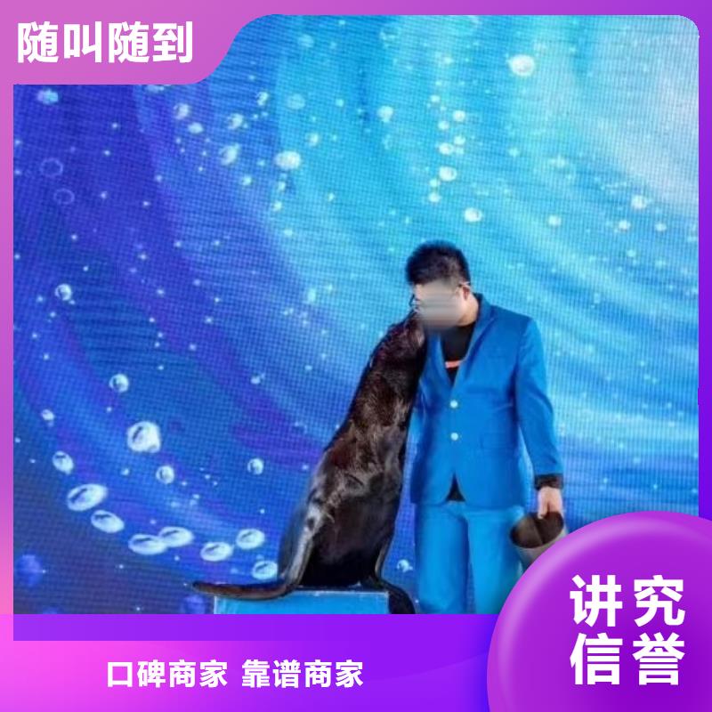 鳄鱼表演租赁当地公司