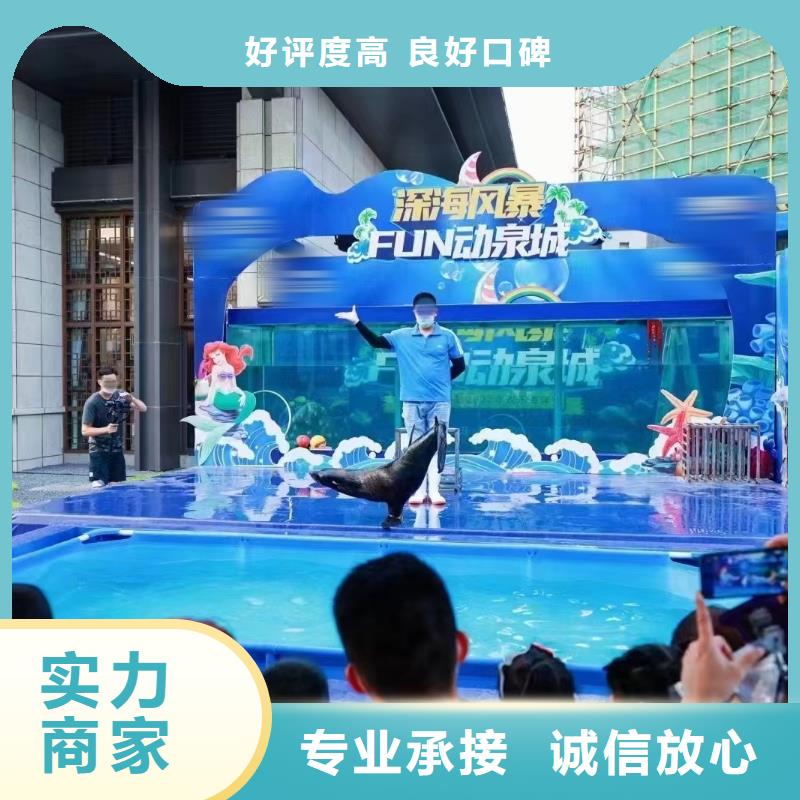 采购海狮表演租赁必看-可信赖一站搞定