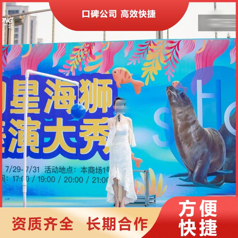 海洋生物鱼缸展租赁暖场方案实力商家