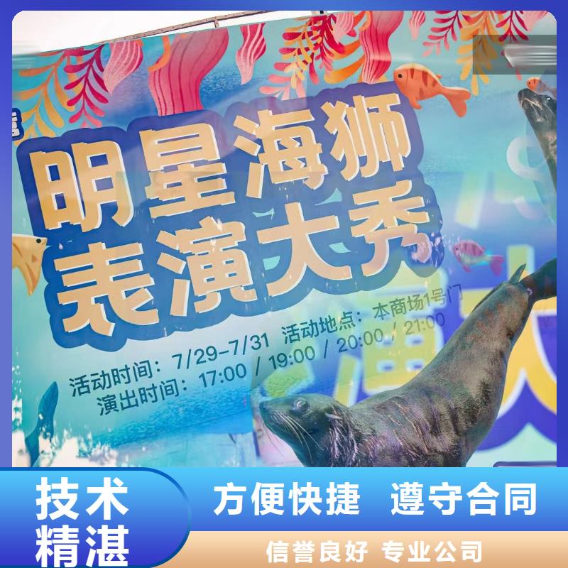 海洋生物展出租联系方式专业承接