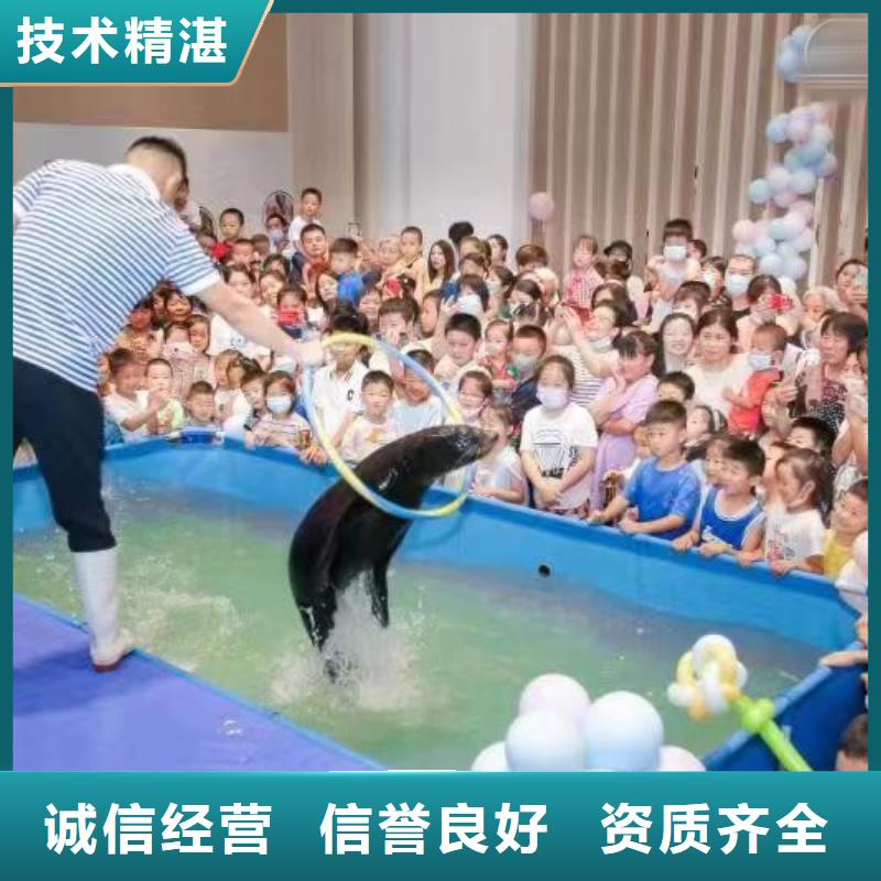 海狮表演出租技术精湛