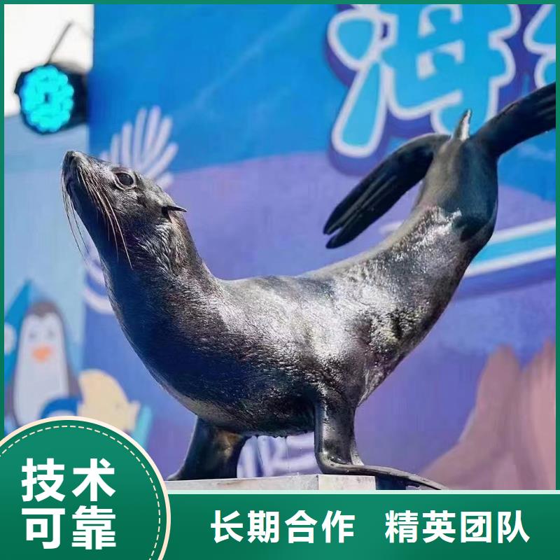 美人鱼表演租赁注重质量