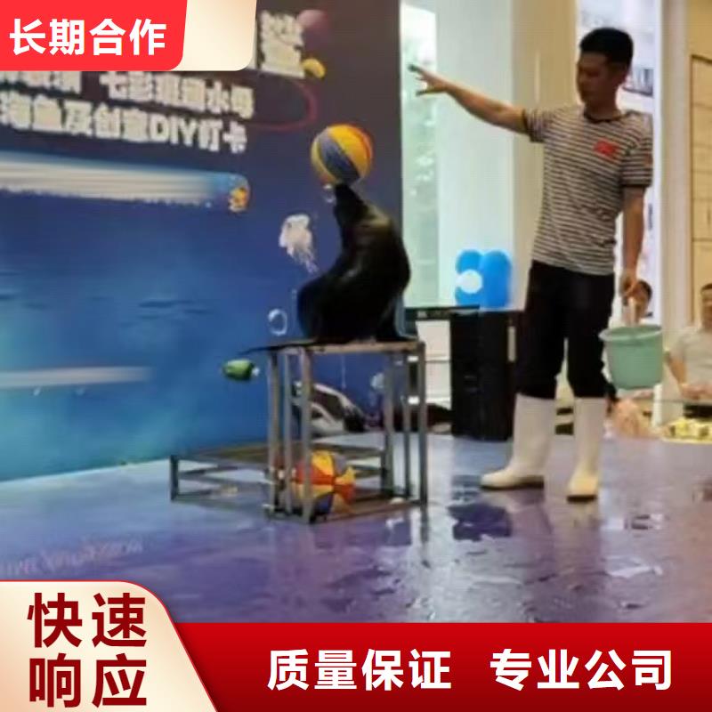 哪有出租海狮表演的暖场氛围同城公司