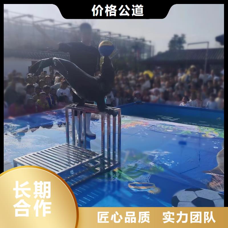哪里有海狮表演租赁省钱省时