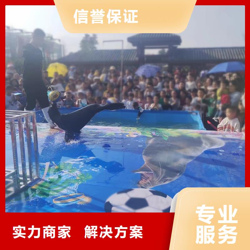 租赁美人鱼表演免费咨询