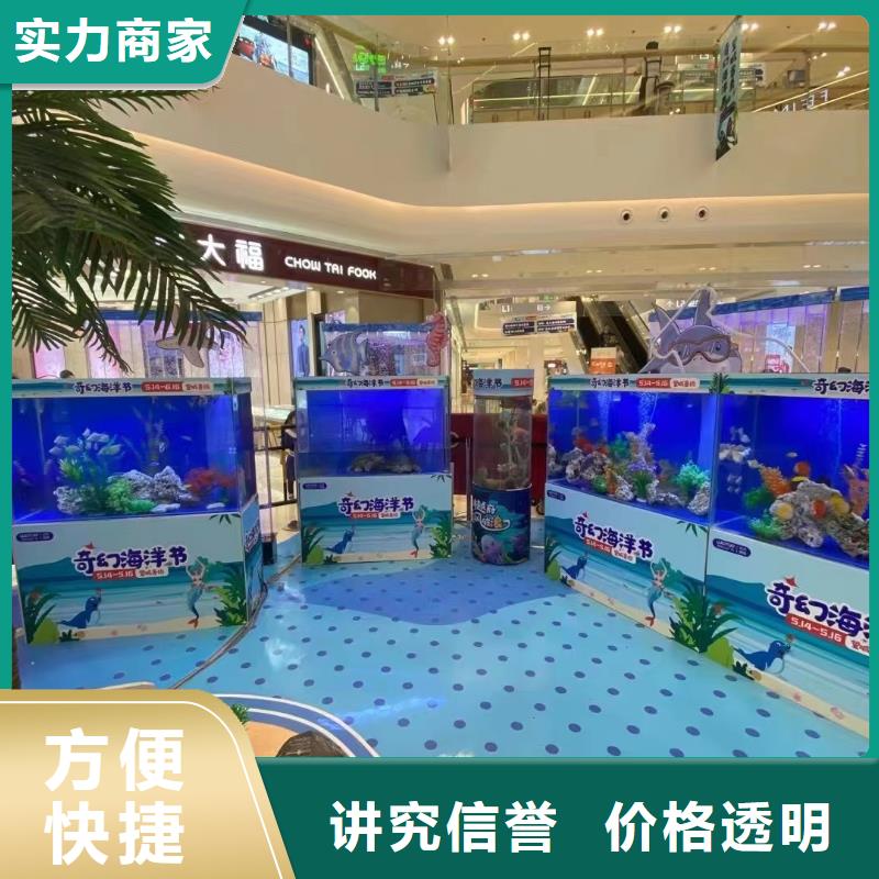 活体企鹅出租联系方式当地制造商