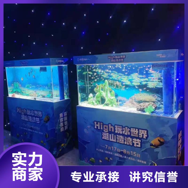 哪有出租鳄鱼表演的暖场气氛解决方案