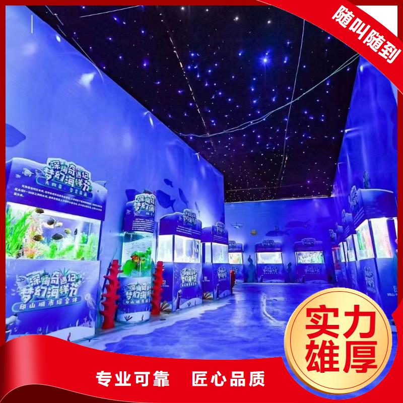 哪里有出租企鹅的暖场氛围当地制造商