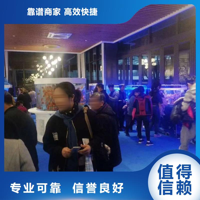 活体企鹅租赁公司活跃气氛优质服务