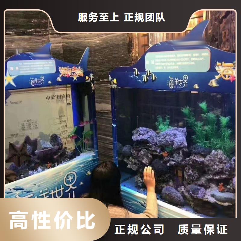 哪有出租海狮表演的活动方案当地生产厂家