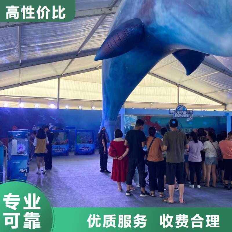 海洋生物展出租海洋动物信誉良好