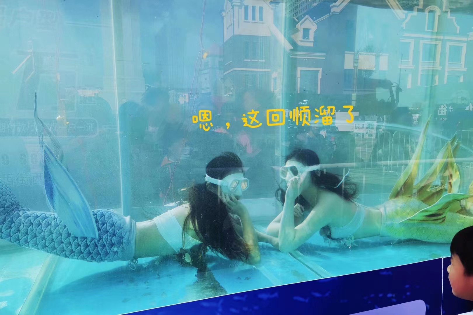 哪有出租海狮表演的暖场活动随叫随到