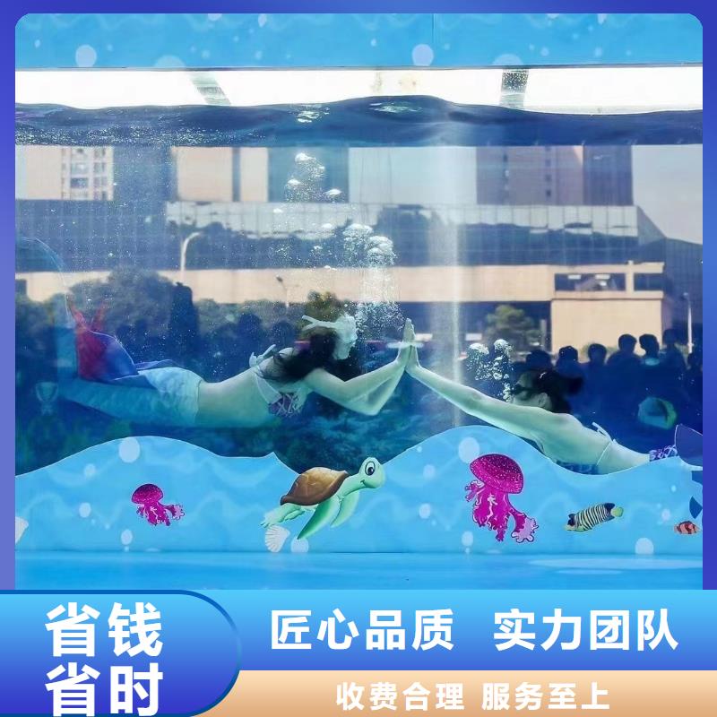 哪有出租企鹅的价格优惠一站式服务