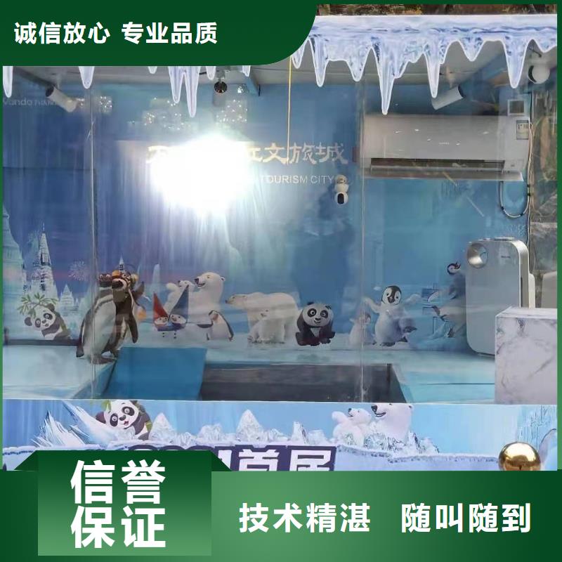 出租美人鱼表演当地制造商