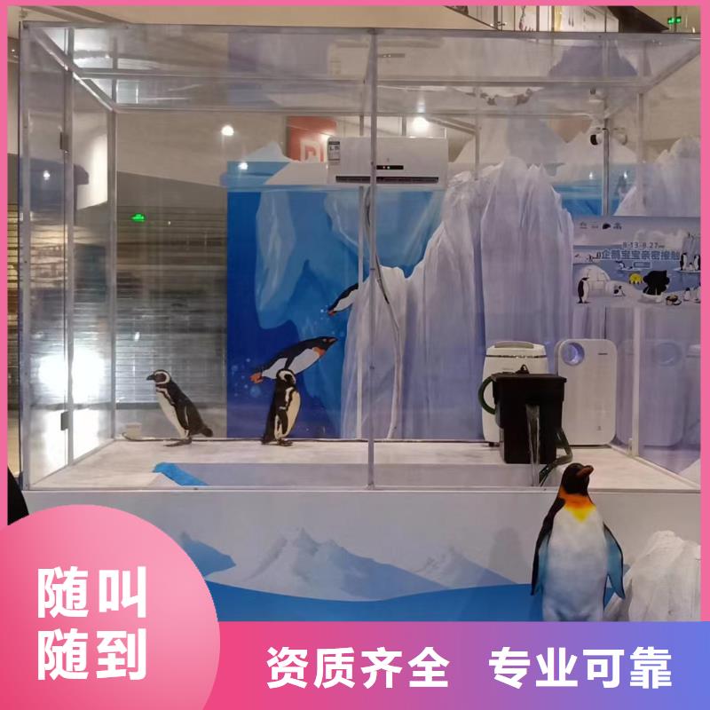 海洋生物展租赁实力商家